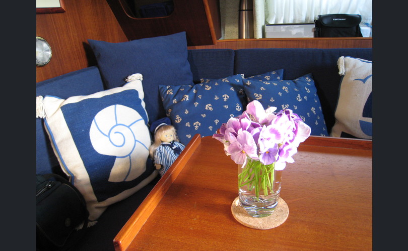 King´s Cruiser King´s Cruiser 33-kuva-12